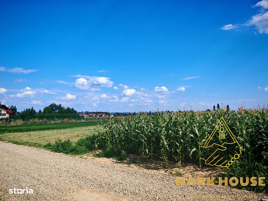 Teren extravilan de vânzare, 6.400 mp, Măgura
