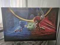 Tablou Canvas Sonic 2, 80x50cm,