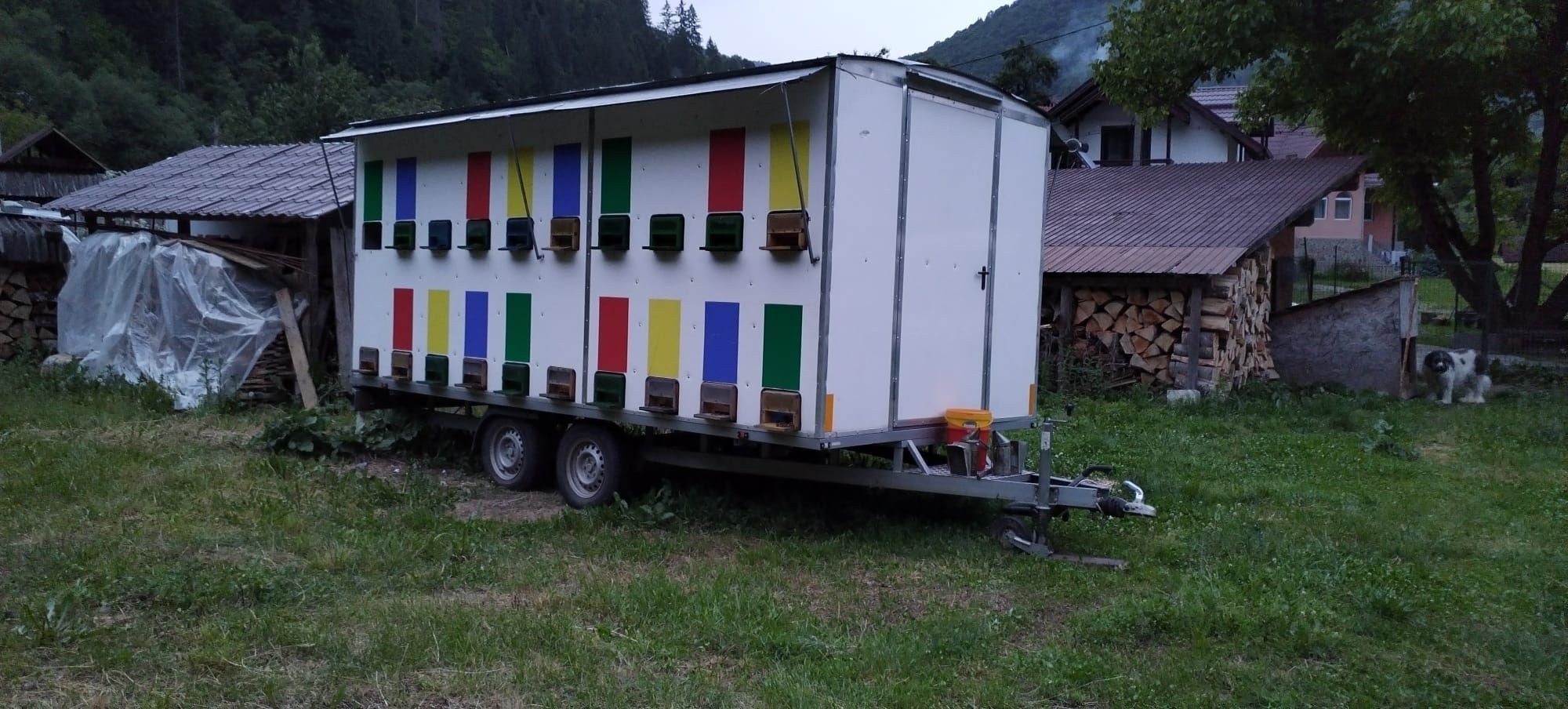 Remorcă Apicola + Familii de Albine(500lei)