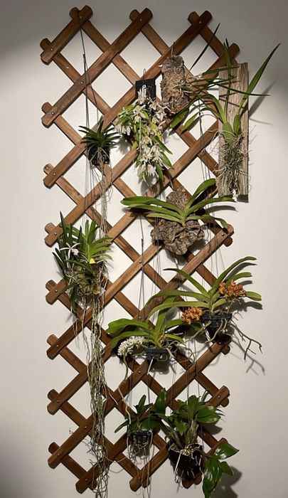 Ikea градински комплект Askholmen