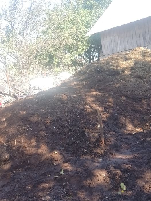 De vânzare gunoi de cal și de vacă