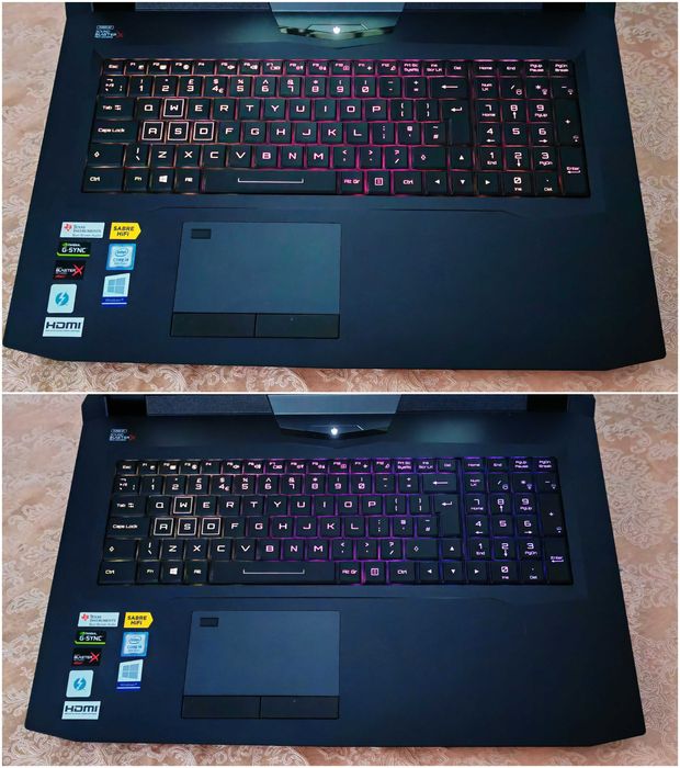 RTX 2080 8GB/Core i9 9900K/17.3 G-SYNC 144Hz IPS/16GB RAM/512GB NVMe