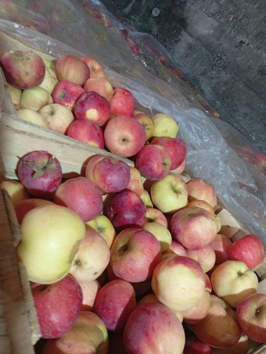 Vând mere diferite soiuri