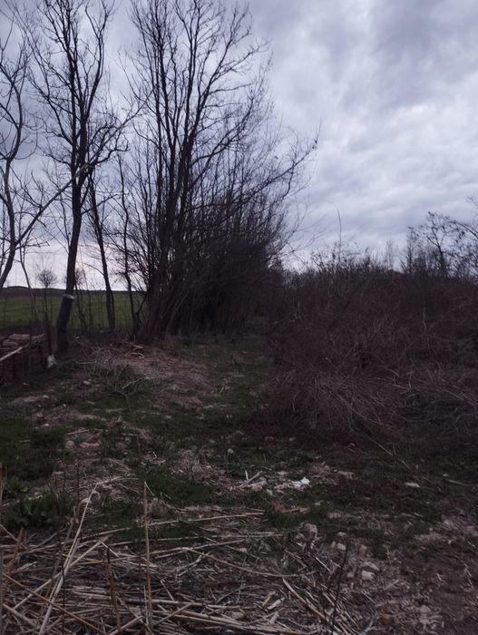 Продава се Парцел в Тръстеник - 2224 кв.м за 2 €/кв.м - Снимка #1