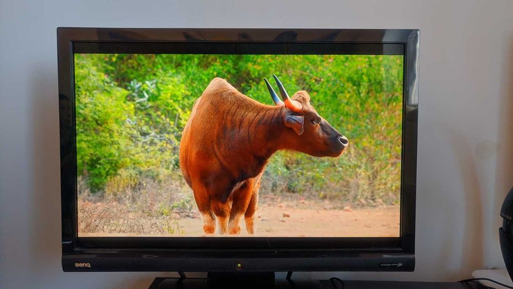 Monitor BenQ ET0008N 19'' LCD functional, poze reale