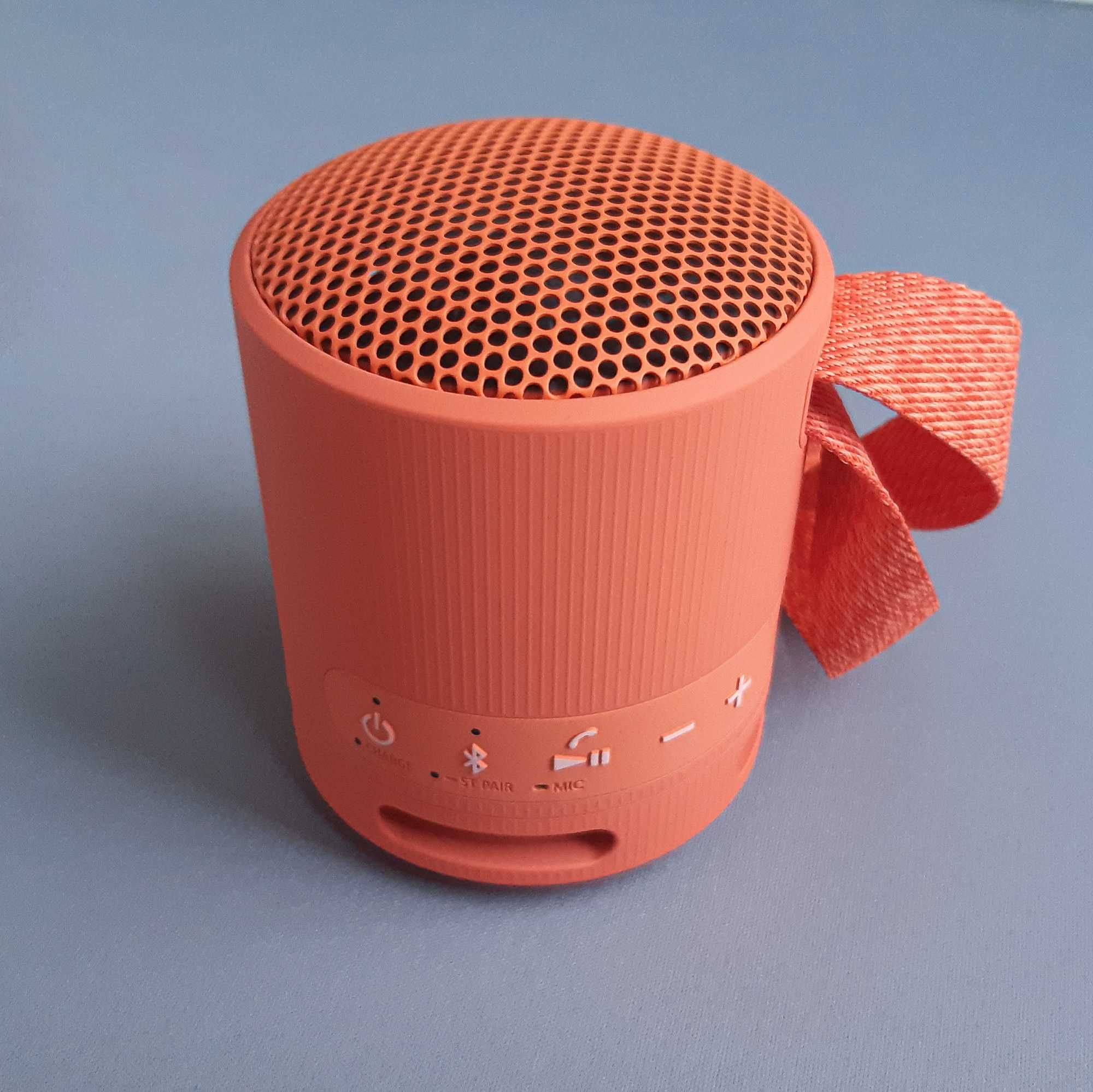 Bluetooth колонка Sony SRS-XB100