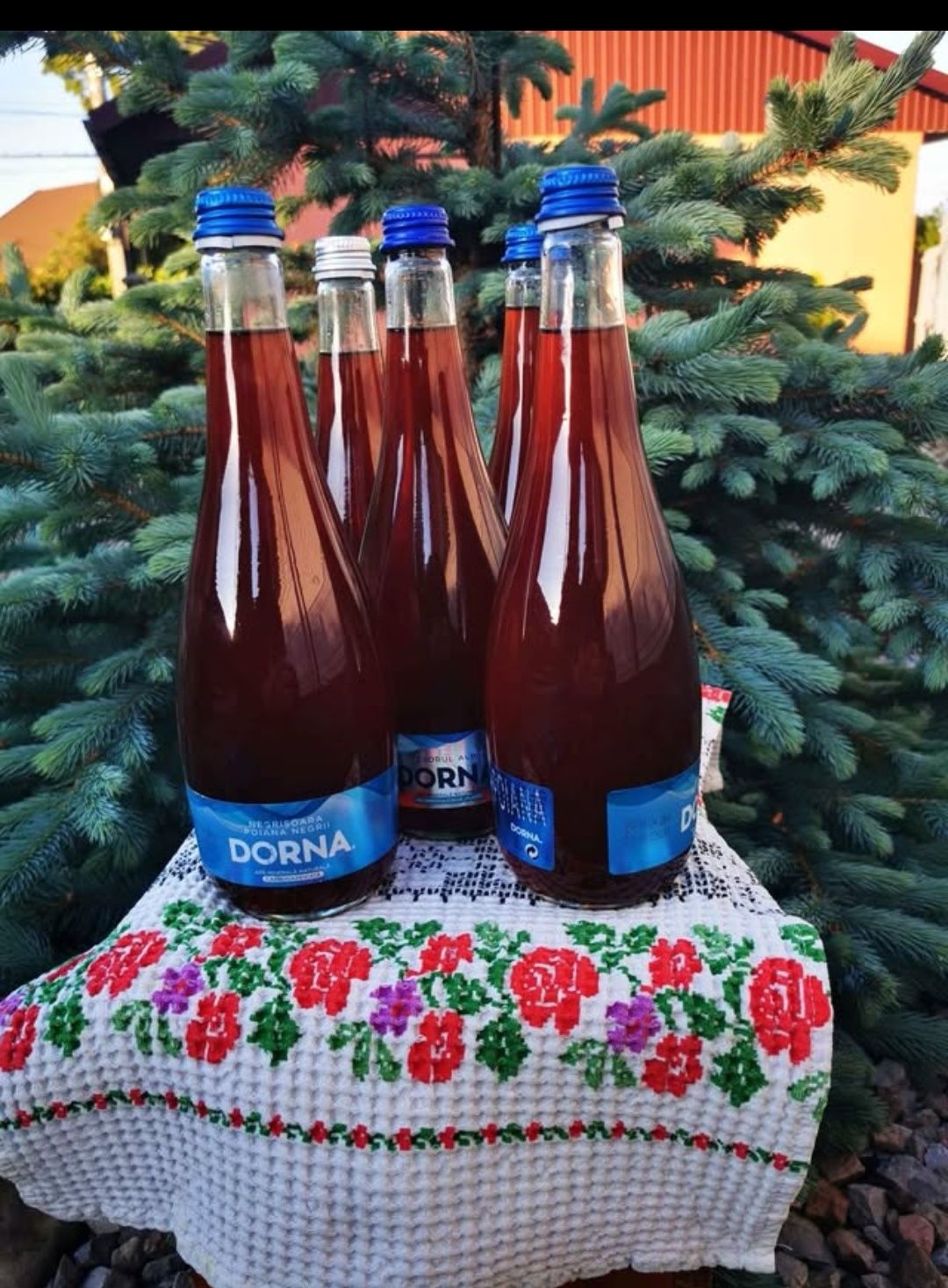 Sirop natural din muguri de brad
