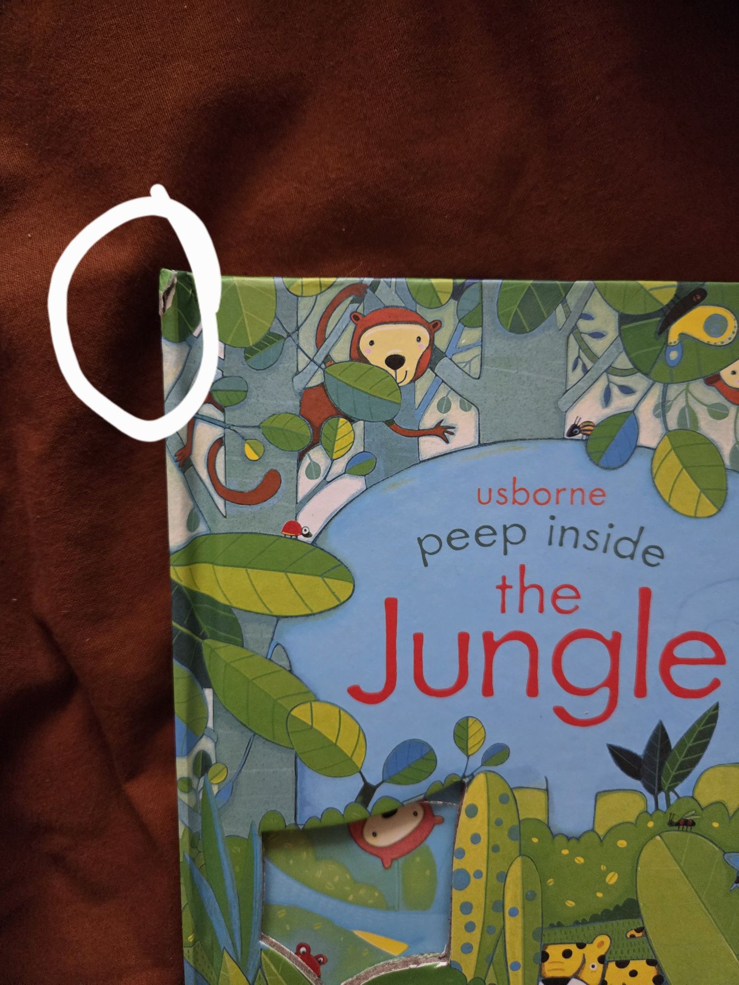 Carti Usborne pentru copii noi
