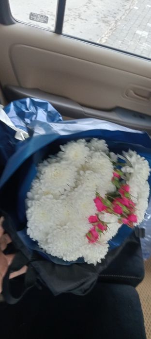 Продам цветы хризантема свежие