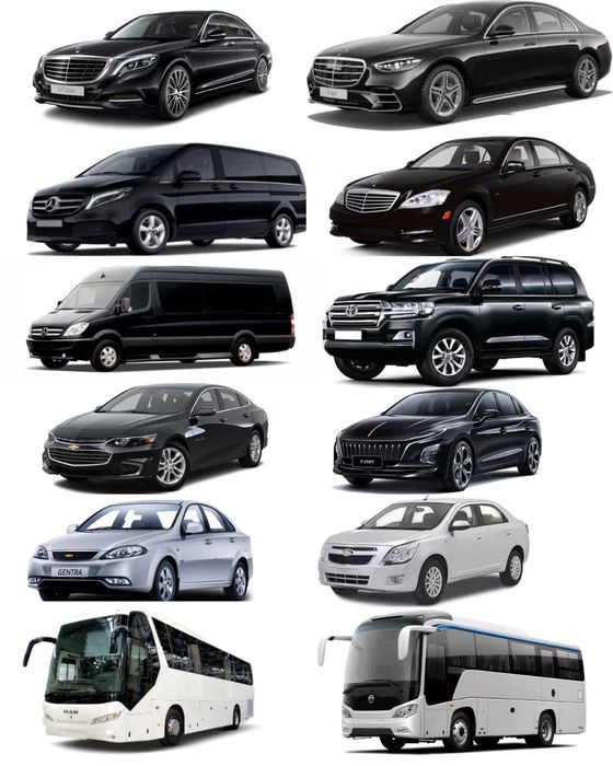 Premium Convoy Service for VIP arrivals, delegations, official events.