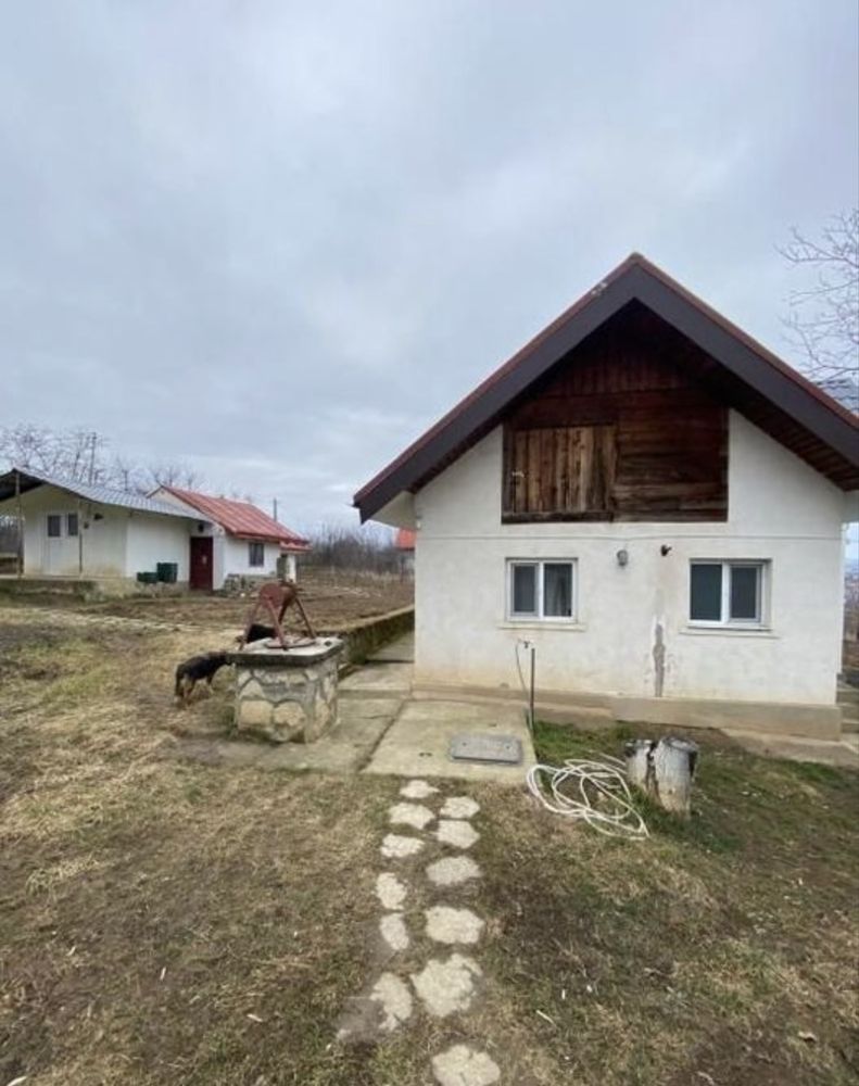 Casa de inchiriat Visan