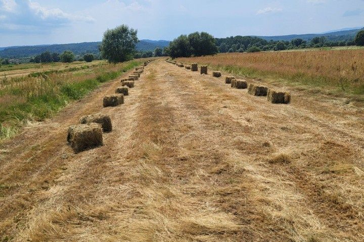 Vând baloți de fan