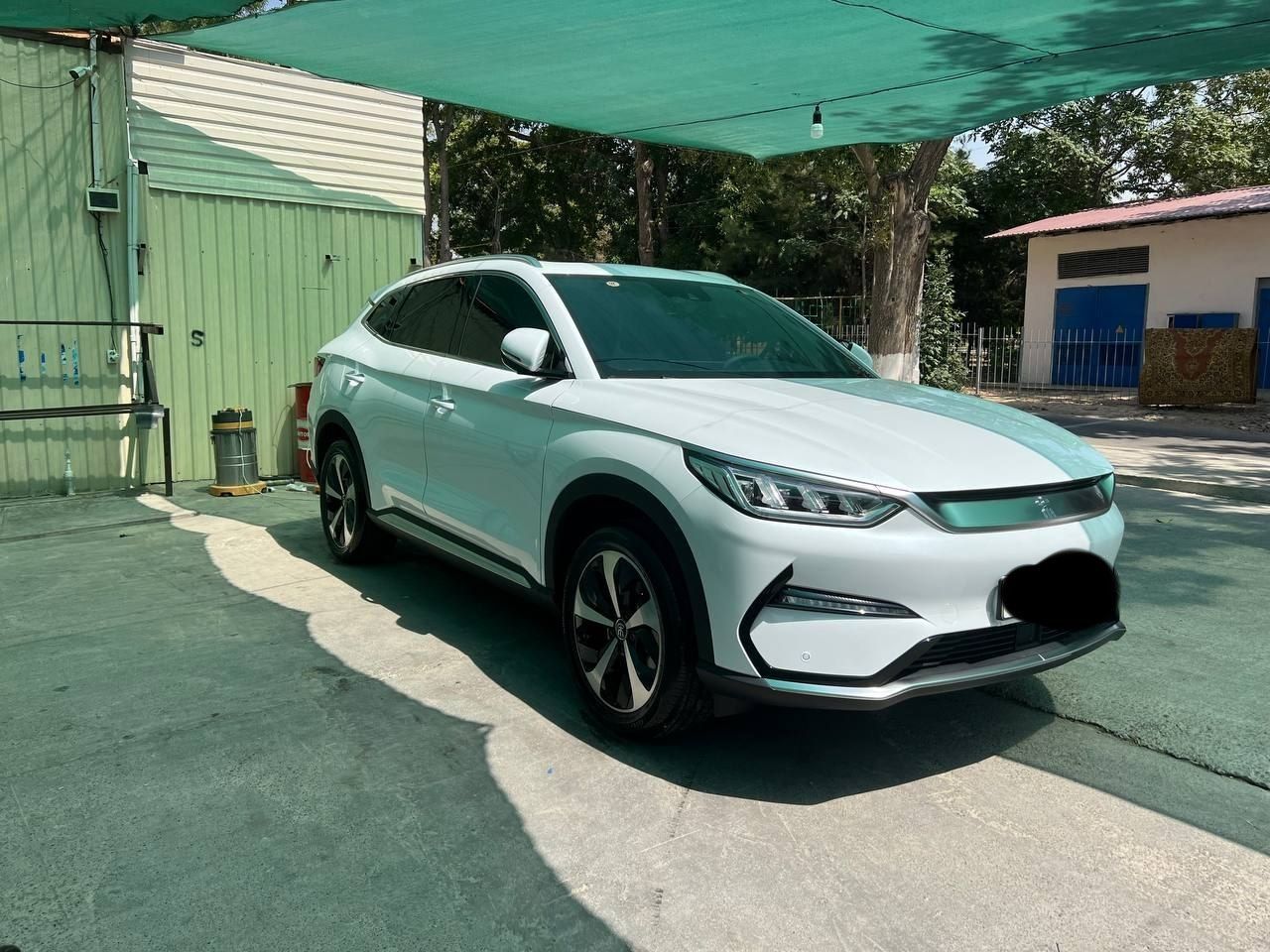 Byd champion flagship 505