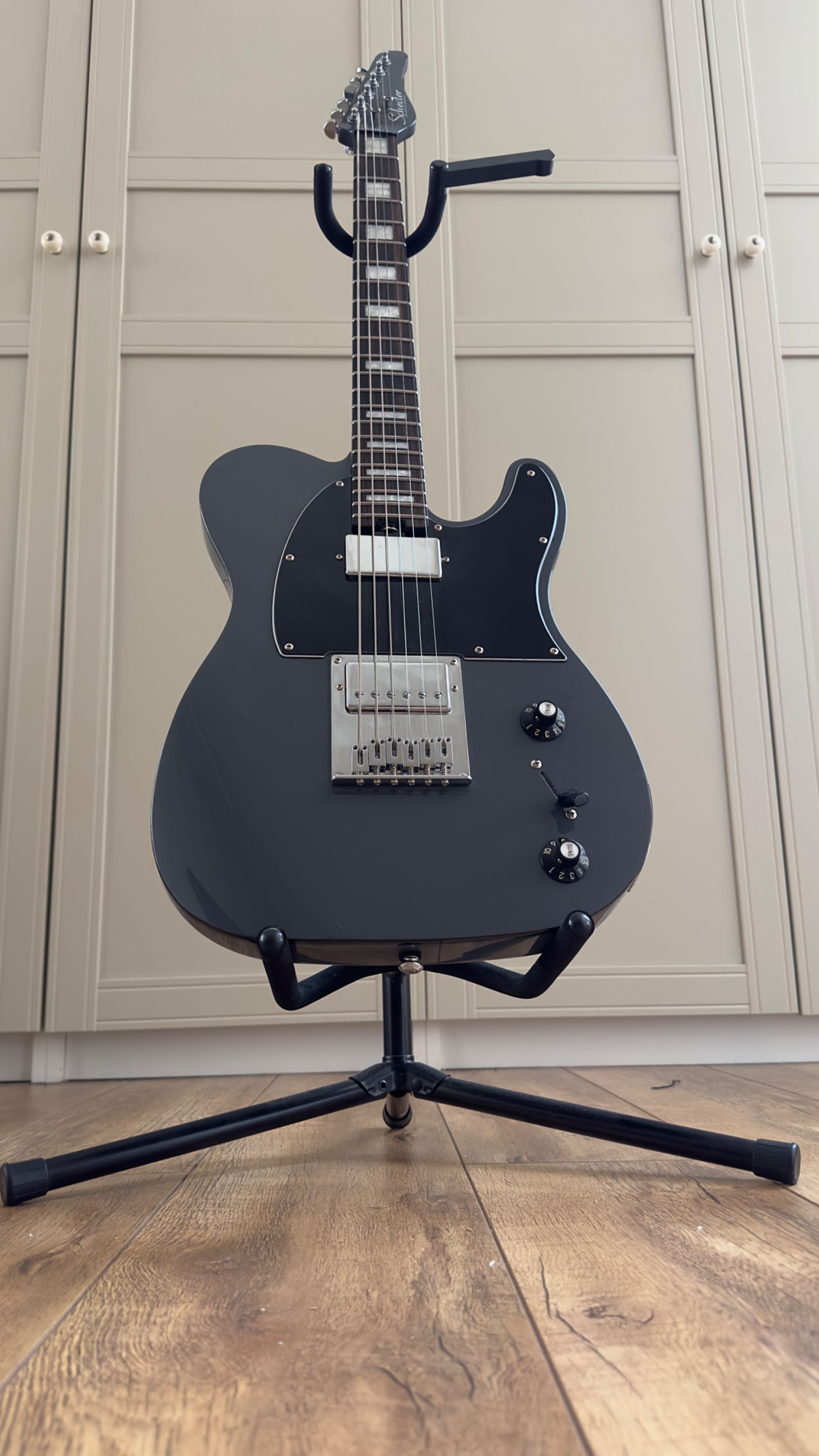 Электрогитара SCHECTER PT EX Dorian Grey