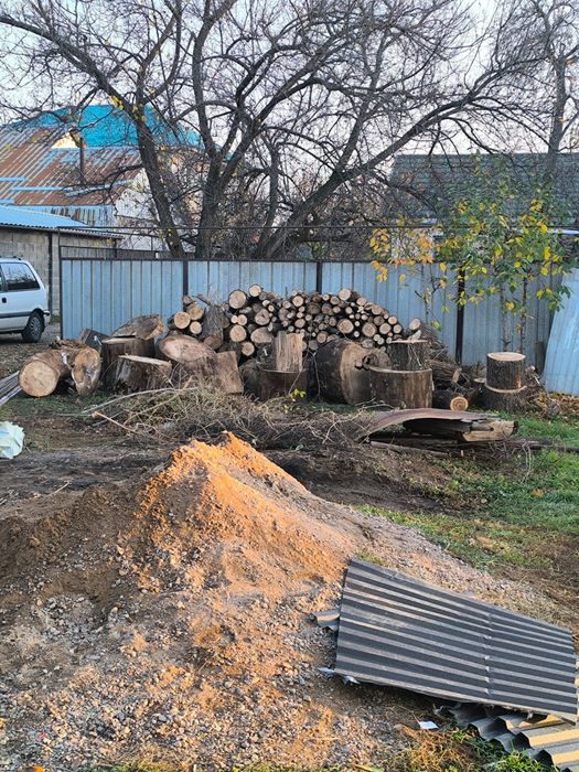 Продам дрова карагач