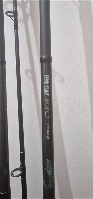 Lansete Somn  Cormoran Big Cat Pro Short Range 2,80m