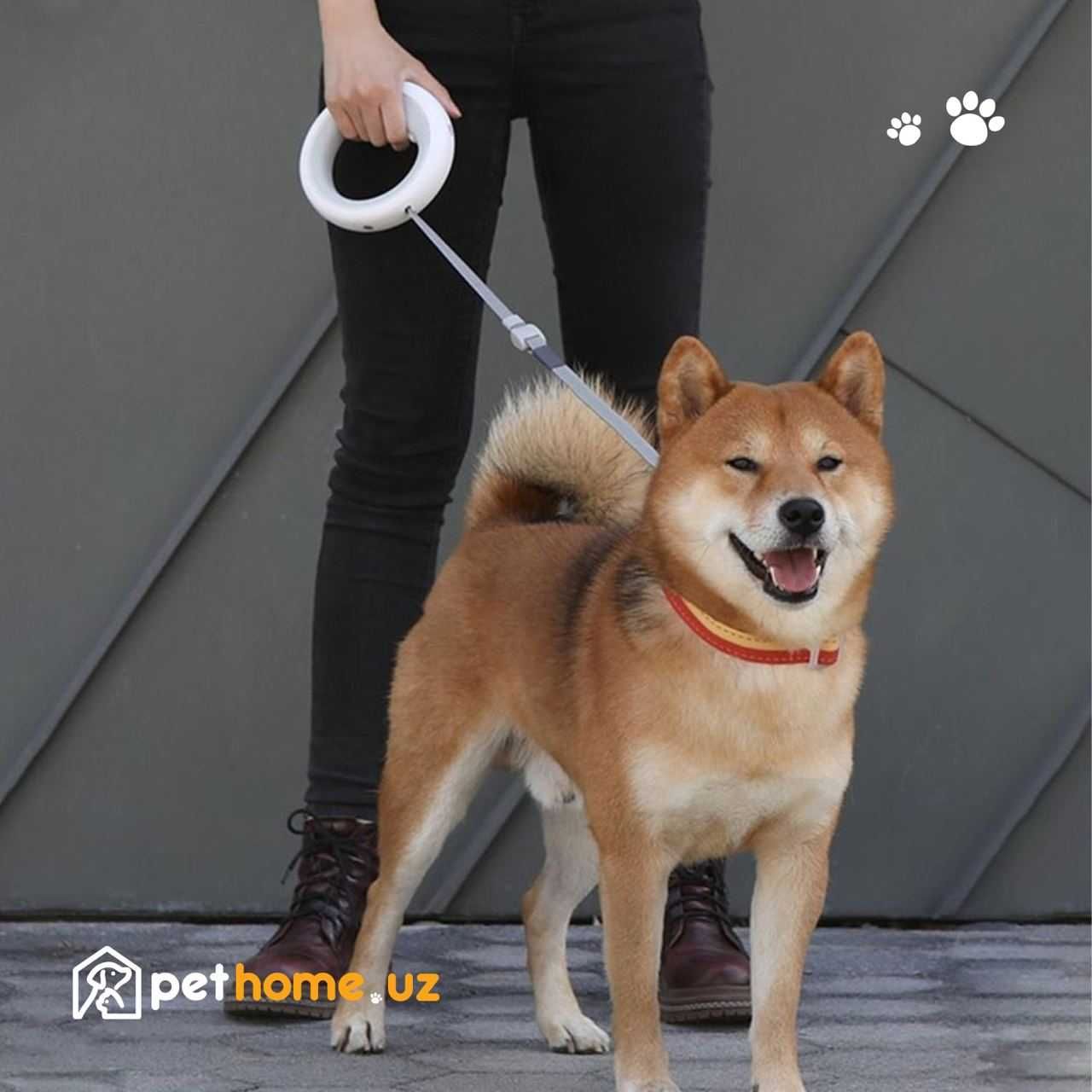 Поводок для собак Xiaomi Moestar UFO Retractable Leash 2