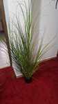 Planta artificiala decorativa