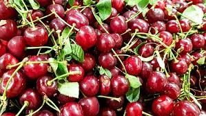 Продажа вишни свежий урожай