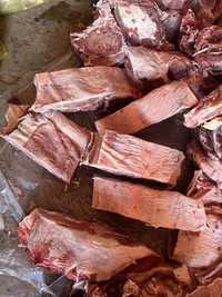 Мясо говядина, телки 1,5 годовалые справные,жирные по 2300 за кг