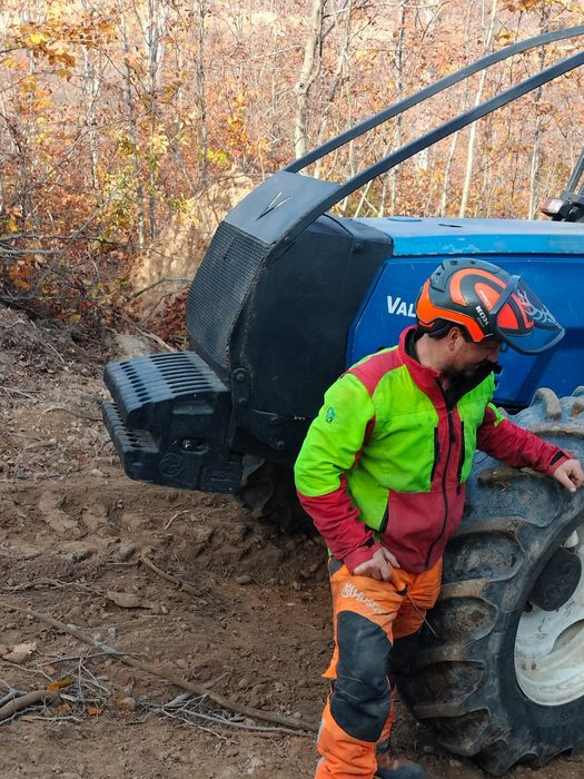 Prestări exploatare forestiere in județul salaj