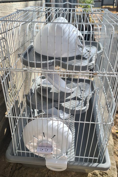 Клетки для Грызунчика!