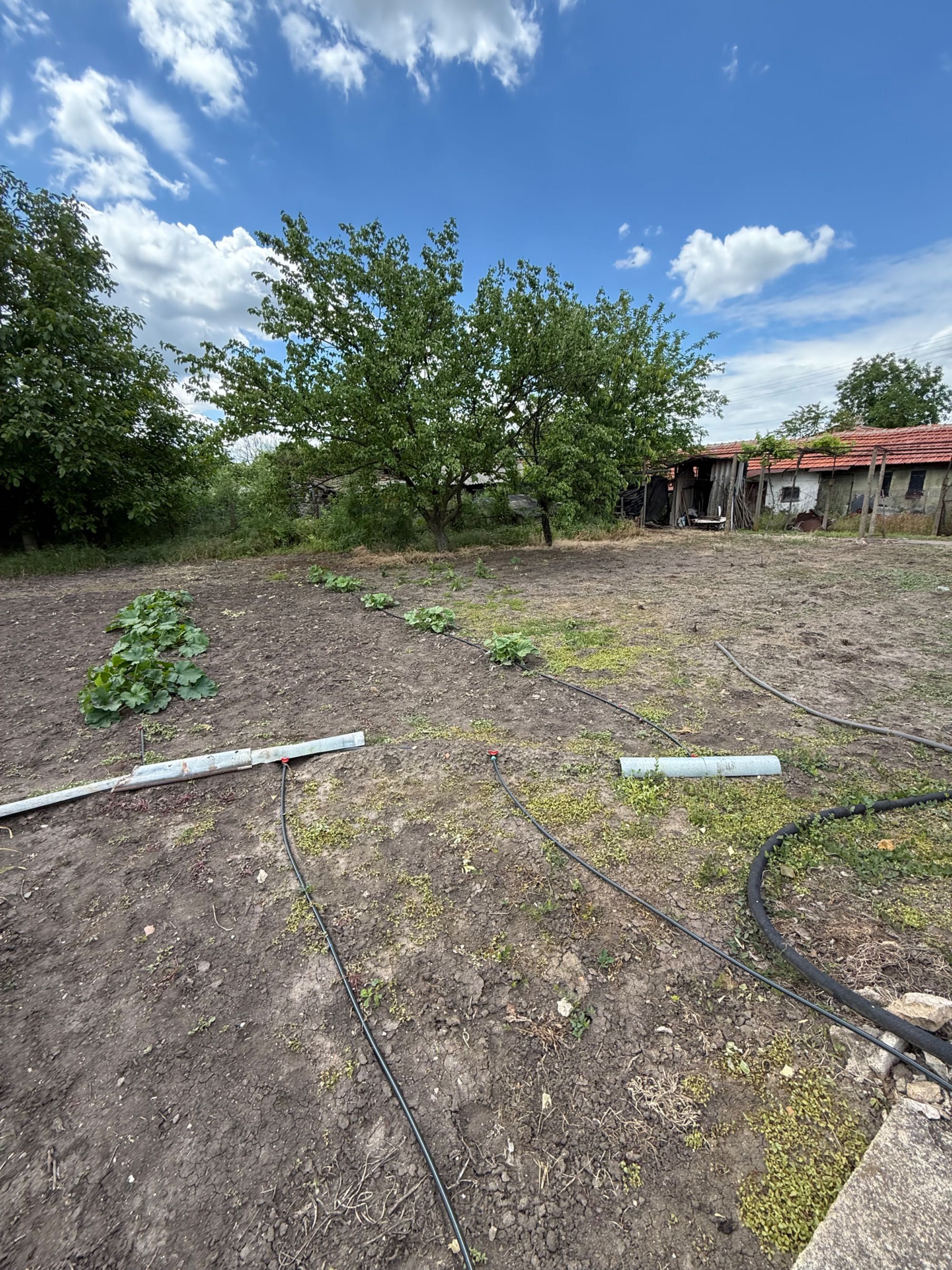 Къща с двор в село Пет Могили