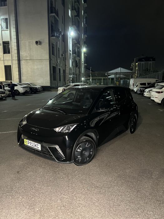 Насия Byd seagull 305 km