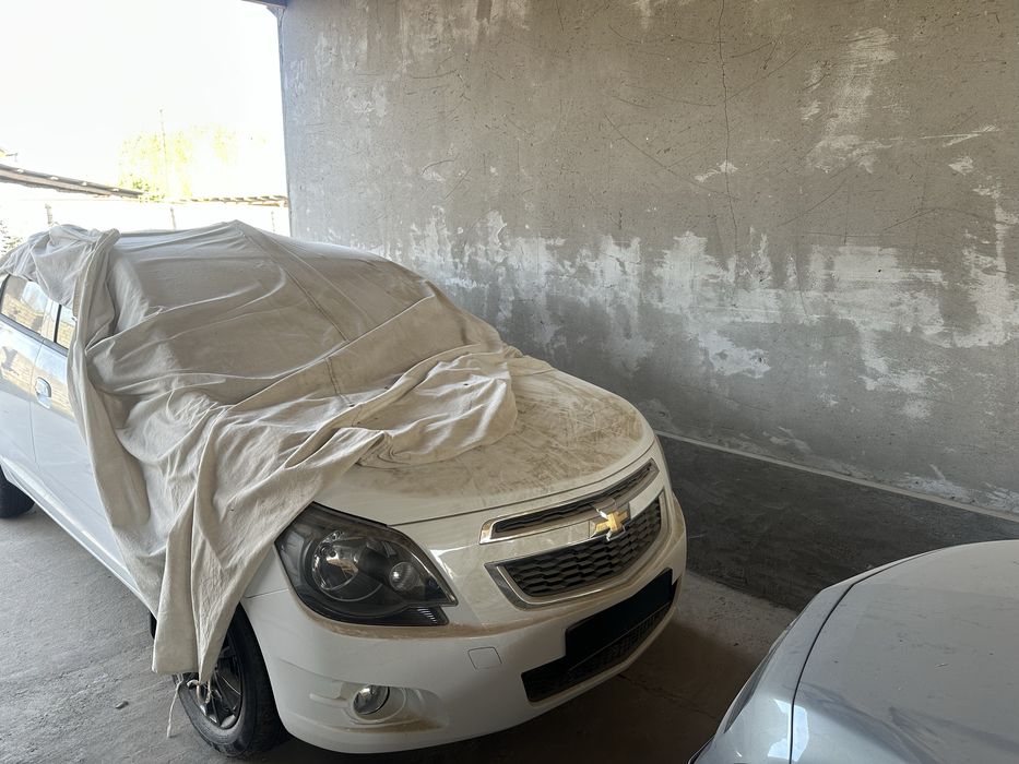 Cobalt midnight 2025