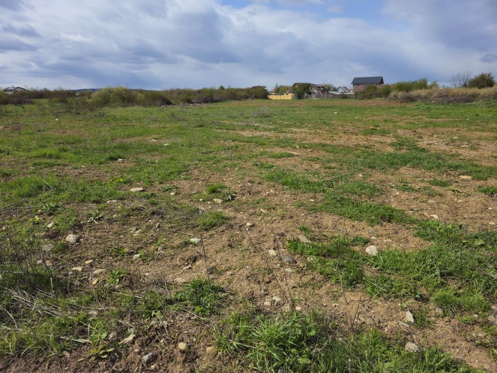 Vand parcele teren Targoviste langa rep Skoda ,Str.Calea Câmpulung