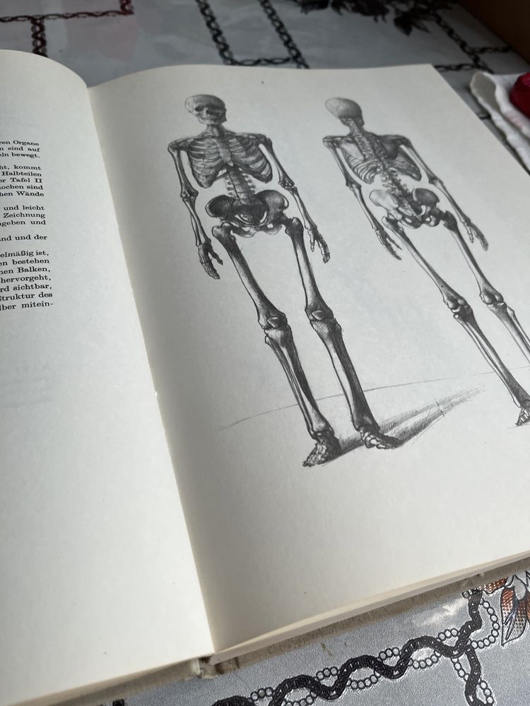 Книга Енё Барчаи "Анатомия для художников"