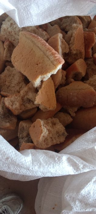 Беда поя, курутилган нон.