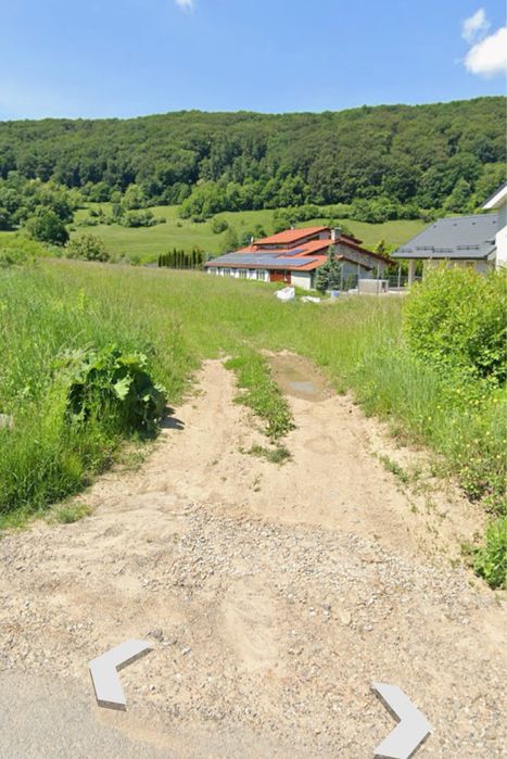 Tren Aurel Vlaicu Sighisoara
