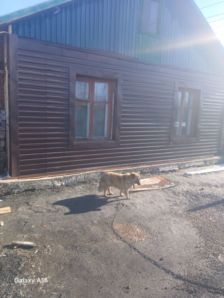 Продам дом поселок дачный (камыши)