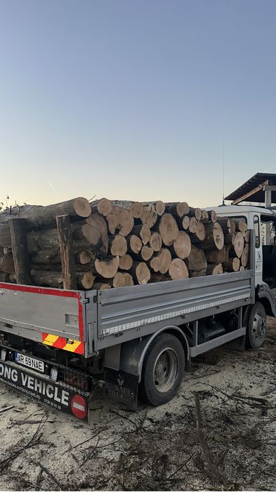 Lemne de foc esenta tare