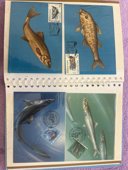 Album Maxime cu animale