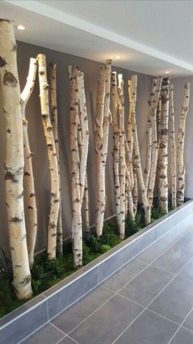 Bucati lemn de mesteacan taiat la cerere pentru aranjamente si design