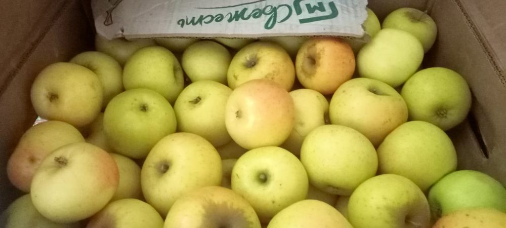 Продам яблоки( апорт,кандиль)