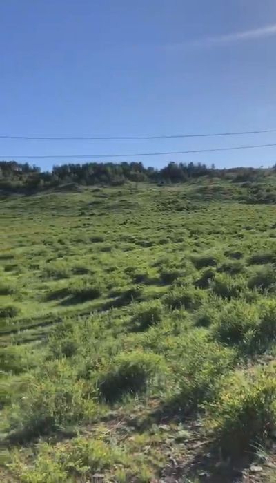 Продам земельный участок можно несколько под базу отдыха на Бухторме