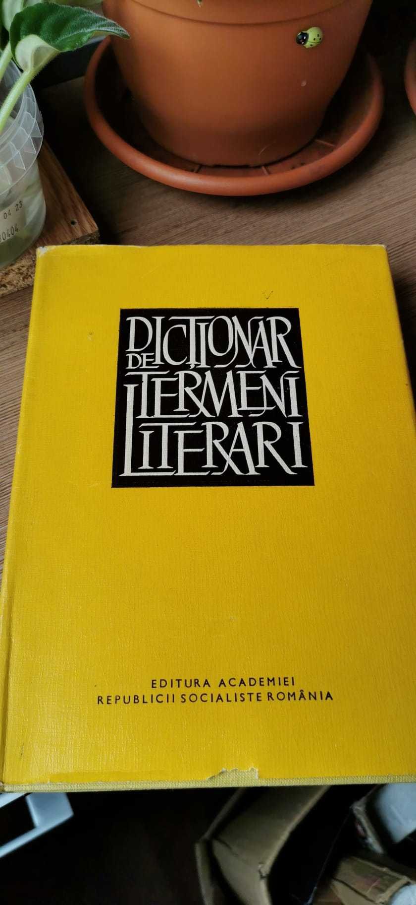 DEX,1984 si Dictionar de termeni literari, Alexandru Stefanescu