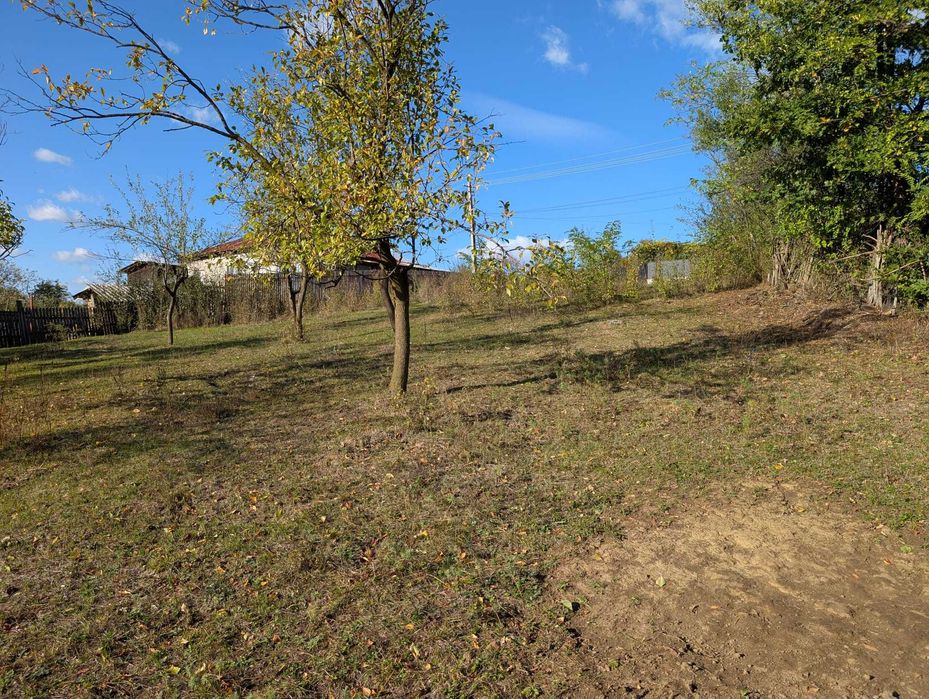 Teren de vanzare Comuna Valcanesti, la baza padurii, 1946 mp.