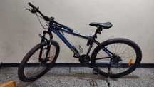 Планински велосипед, Interbike Lion, 29", 21 скорости