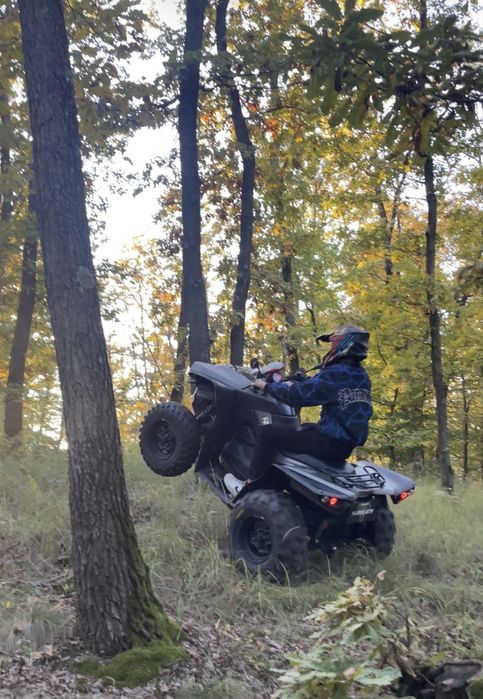 Vand atv cectek kingcobra 500 4x4