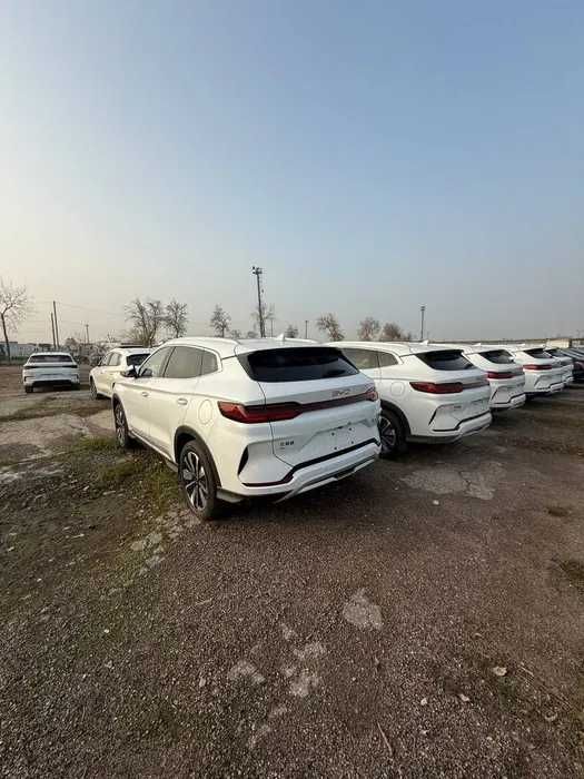 BYD Song Plus Aksiya!!!