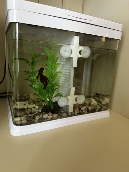 Аквариум 10 литров