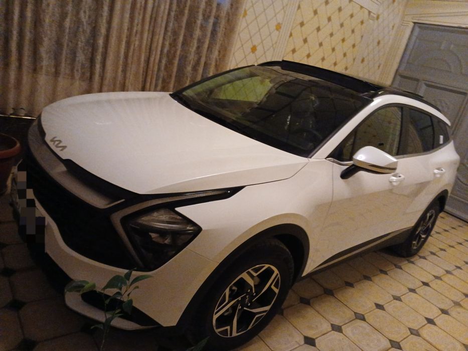 Панорама том, 2024 йилда олинган спортейж