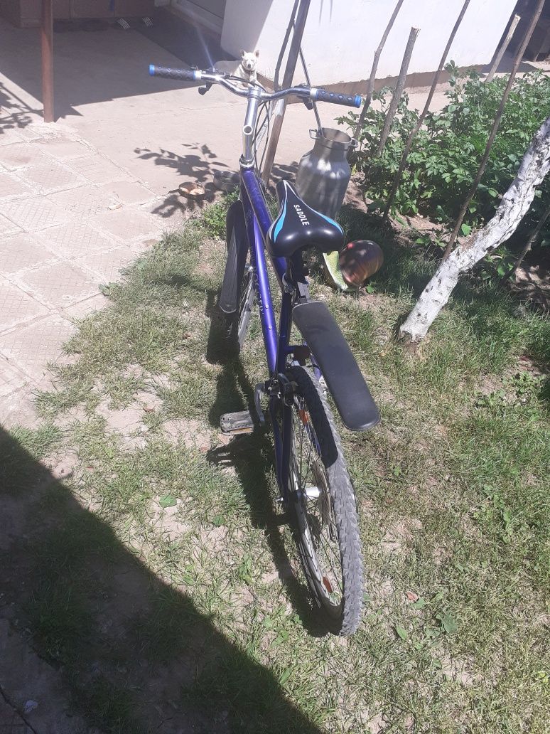 Колело 26 ''     .