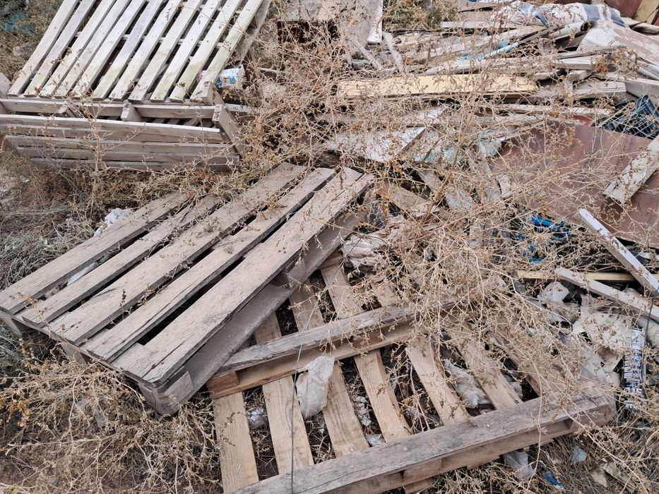 Отынға ағаш тегін беріледі. Өзі тиеп , Өзі алып кету керек.