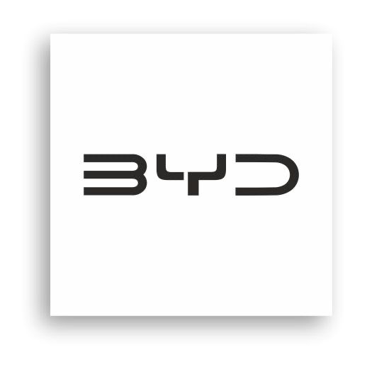 BYD zaryadka зарядка official original