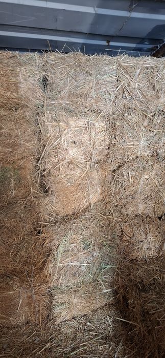 Беда ва хашак прес бор. Огир катта прес.